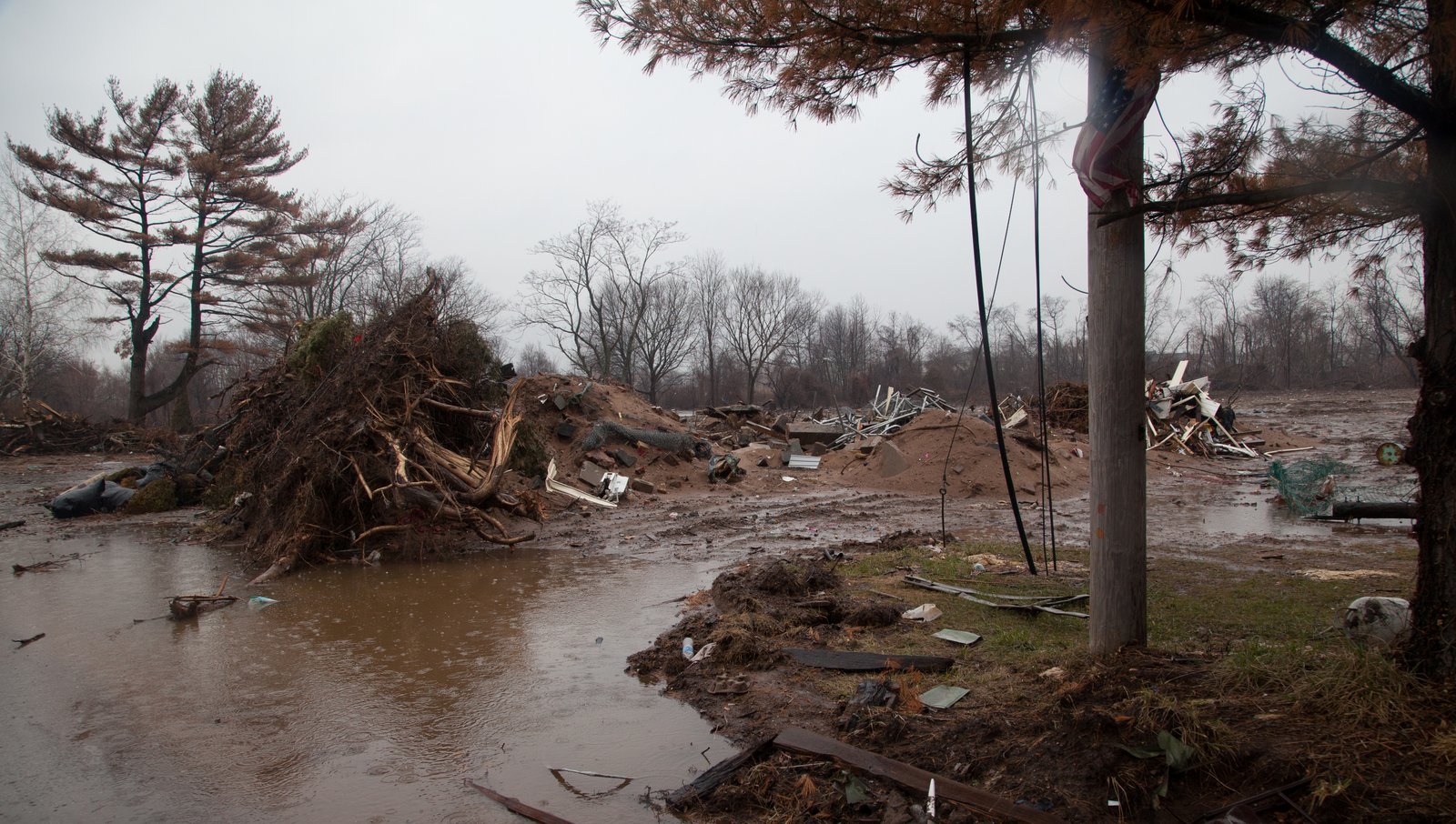 art-of-sandy-mo-staten island 2-30.jpg